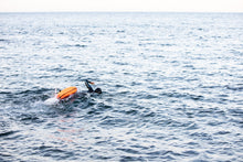 Load image into Gallery viewer, Orca Safety Buoy