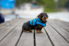 Load image into Gallery viewer, Dog Buoyancy Aid Hire